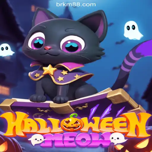 Unveiling the Mysteries of HalloweenMeow: The Enchanting Casino Experience